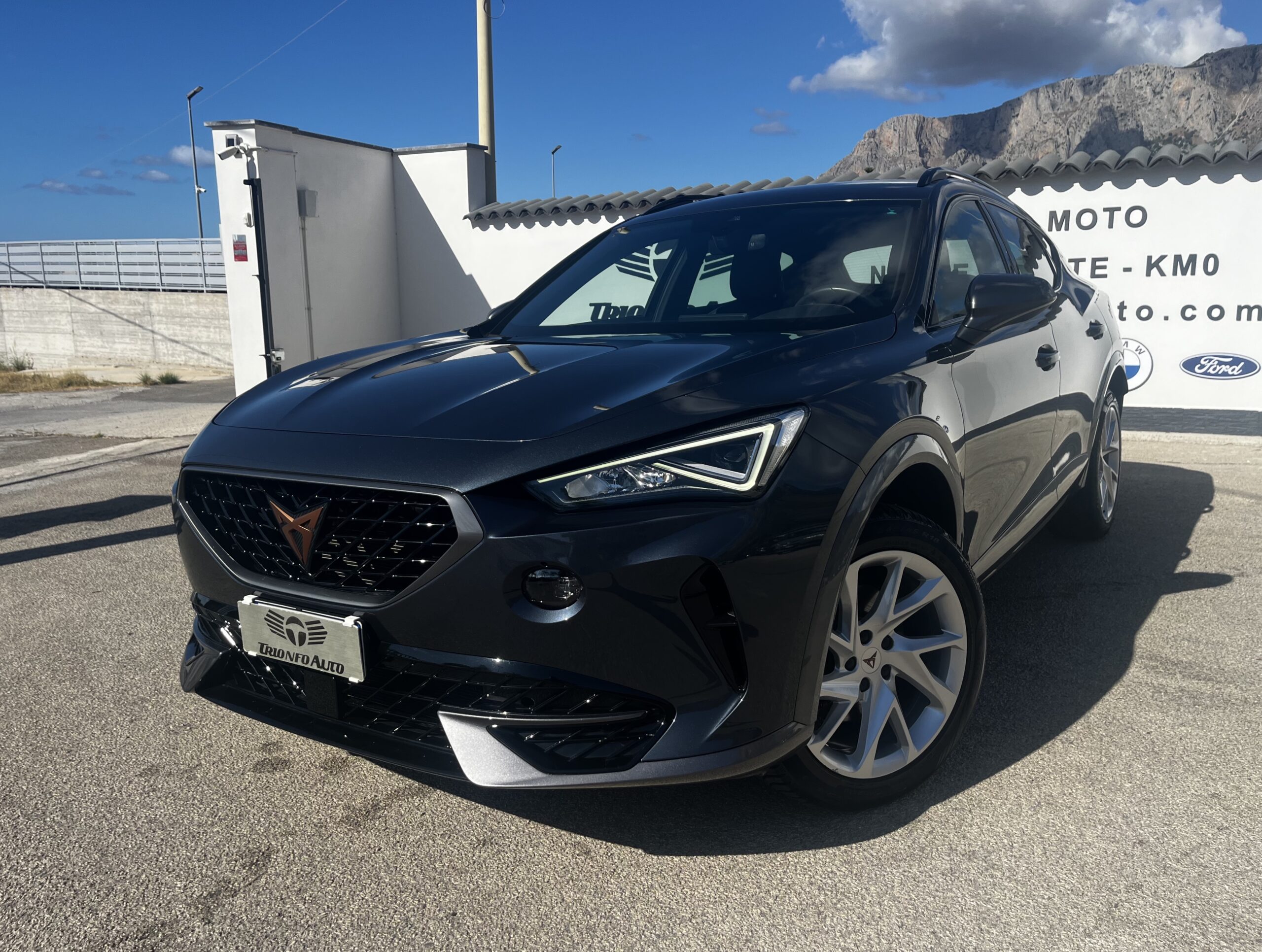Cupra Formentor 2.0 TDI 4Drive DSG